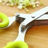 Unbranded Herb Scissors Set with 5 Blades and Cover -