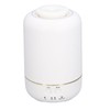 30ML Essential Oil Diffuser LED Aromatherapy Diffuser with Timer Silent