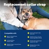 PetSafe Replacement Collar Strap with 2 Holes - Adjustable Design