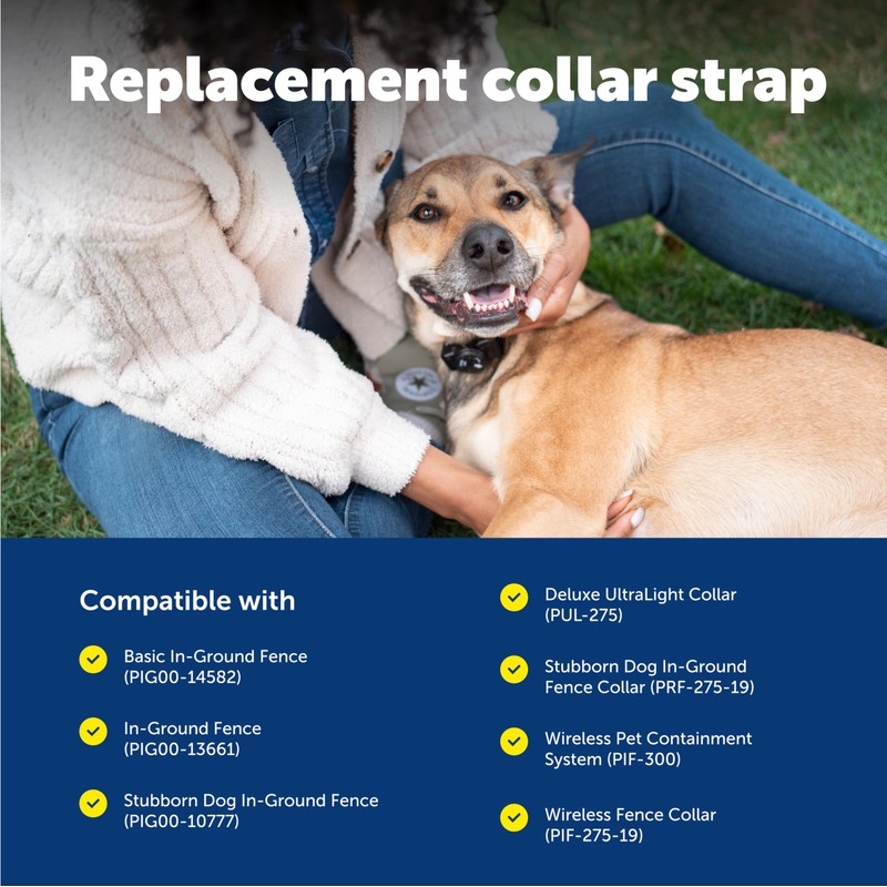 PetSafe Replacement Collar Strap with 2 Holes - Adjustable Design