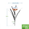 Single Cattail Birdbath