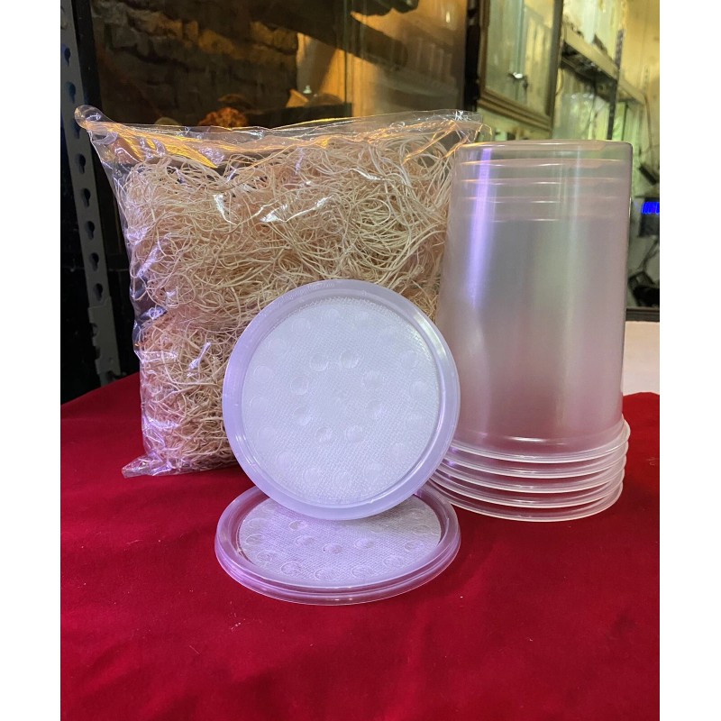 Homemade Fruit Fly Media Culture Kit (MAKES 5 CULTURES) Free