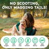 OKKÖBI Anal Gland Chews 150Pcs - Constipation Relief for Dogs