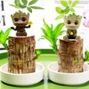 EARPMAG Groot Planter,Flowerpot Treeman Groot Succulent Planter Cute Plants Flower