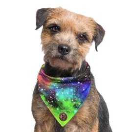 Spoilt Rotten Pets Galaxy Rainbow Small Dog Tied Neckerchief Small Fits Up To 16" Neck, Dog Bandana Fancy Dress Dog Costume