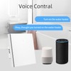 WiFi Light Switch 1 Gang Voice Control Mobile APP Timing