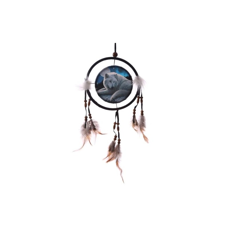 Original Dreamcatcher Guardian Of Northern Lisa Parker 16 cm