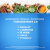 FLAIRFIT® Thermoburner – Suplemento Alimenticio Pre-entreno con L-Carnitina, Té verde,