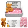 Little Pocket Bear Hug in A Box, Stuffed Animals, Plush
