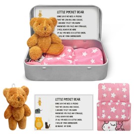 Little Pocket Bear Hug in A Box, Stuffed Animals, Plush Bear Doll Keychain as Positivity Gifts, Miss You Gifts, First Day at School Gifts Soft and Cute Pocket Hugs Bear for Kids and Women
