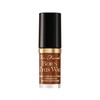 Too Faced Born This Way Super Coverage Multi-Use Concealer |