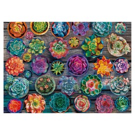 Colorful Succulent Plant Puzzles for Adults 1000 Pieces, Pretty Flower Art Jigsaw Puzzles, Beautiful Floral Cute Puzzles