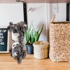 Modern Octopus Hourglass, Decorative Sand Timer, Wildlife Home and Office