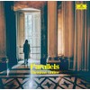 Parallels: Shellac Reworks By Christian Löffler [Vinyl LP]