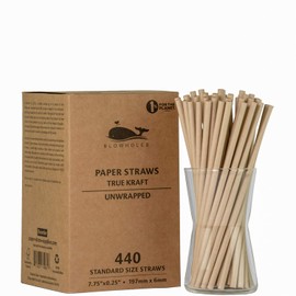 Blowholes Standard Size Eco-Friendly, Compostable, Long-lasting Paper Straws 440 Count - Kraft