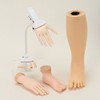 Training Foot (For Nails, Practice Mannequin, Feet, Foot Mannequin, Mannequin,