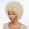 FASHION IDOL Synthetic Afro Curly Wig for Black Women Glueless