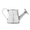Juvale Mini Watering Can - 3 x 1.6 in, Silver,