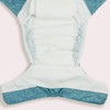 Econaps Night Time Cloth Nappy, Twinkle Twinkle