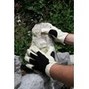 Kerbl 297173 Graphix Glove, Size 9
