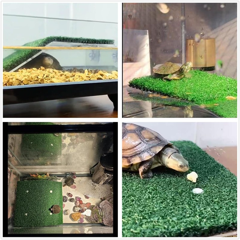 alfyng Small Lawn Turtle Resting Basking Platform, Longer Tortoise Ramp