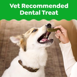 Greenies Veterinarian-Recommended Natural Dental Dog Treats Large Size, Fresh Flavor, 12 oz. Pack, 8 Count
