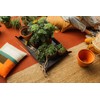 Fiskars Planting Mat, Foldable, High mat edge, Suitable for repotting,