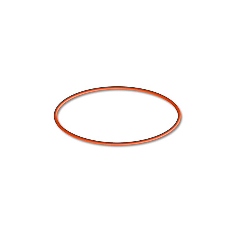 SunSun Replacement Part for CET-15000 Pond Pump - O-Ring -