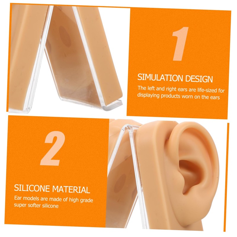 Baluue Ear Piercing Model Display Platform Accurate Human Ear Canal