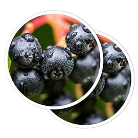 Vinyl Round Stickers (Set of 2) 7.5cm - Black Chokeberry Fruit Plant Nature for Laptops, Tablets, Luggage, Scrap Booking, Fridges #52642