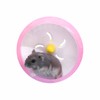 WishLotus Hamster Running Wheel, Silent Jogging Exercise Toy Hamsters Cage