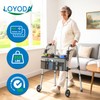 Loyoda Folding Walker with Basket and Glide Skis, 5" Wheels