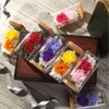 Tea Sight Preserved Flower Bottle Flower Gift Soleil Mother's Day