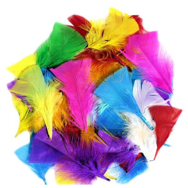 Kids B Crafty 250 Coloured Feathers, Feathers For Crafts, Craft