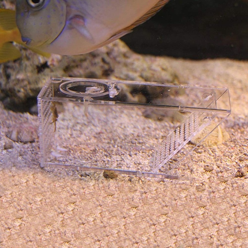 Ruining Aquarium Fish Tank, Trap Catcher Box Tasteless Fish Tank