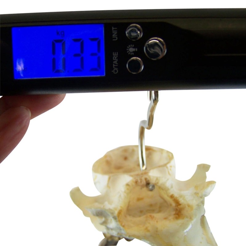 Berger & Schroeter digital 50 kg 31928 hand scale