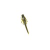 FishLab Nature Series Creature Baits Flutter Numph 4 1/4", Green