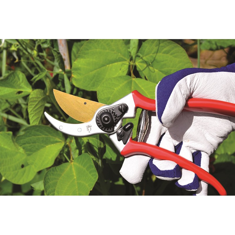 Spear & Jackson 6659TITAN Bypass Secateurs, Red