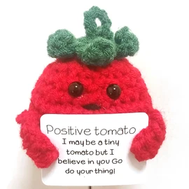 Leogony Positive Tomato Affirmation Gifts for Men Women, Good Luck Charm motivational gift, Positivity Cheer Up Gift for Birthday Party