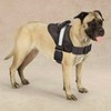 Dog Harness Deluxe Easy Grab Padded Handle with Reflective Strip