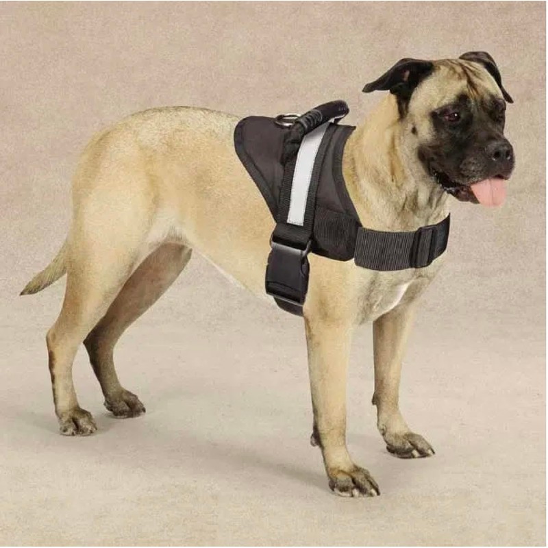 Dog Harness Deluxe Easy Grab Padded Handle with Reflective Strip