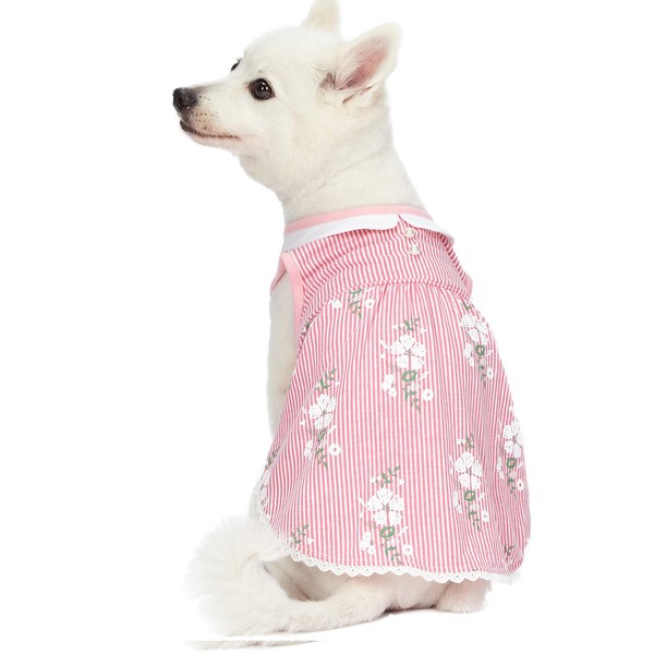 Blueberry Pet Wonderland Floral Sleeveless Dog Dress in Pink Stripe with Peter Pan Collar, Back Length 16", Pack of 1 Clothes for Dogs