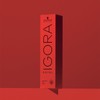 Igora Royal 0-77 02-13 60 ml