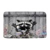 JEJOMEAG Raccoon Bath Mat Funny Animal, 18x30 Inch