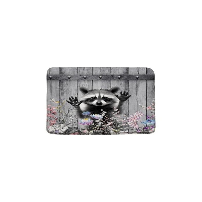 JEJOMEAG Raccoon Bath Mat Funny Animal, 18x30 Inch