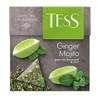 Tess Ginger Mojito Green Tea Composition Lemon Peel and Mint