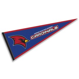 College Flags & Banners Co. Saginaw Valley State Cardinals Pennant Flag