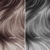 MOEHAIR Color Infuse Silver , Color Enhancer and Neutralizer For