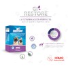 GI-Restore
