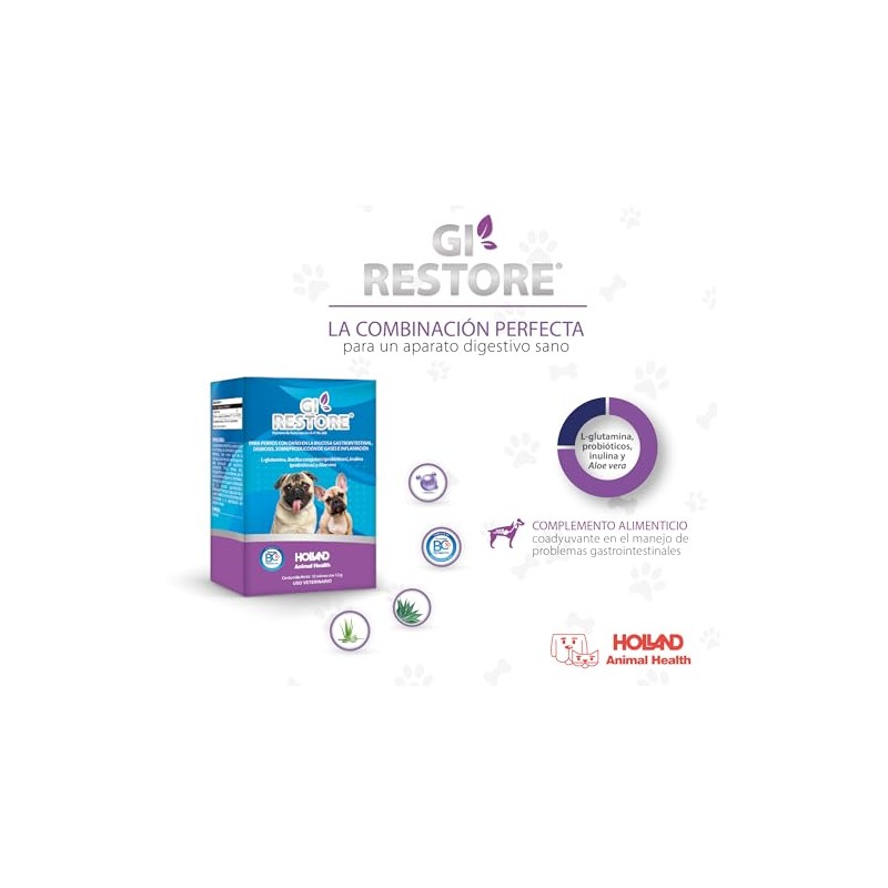 GI-Restore
